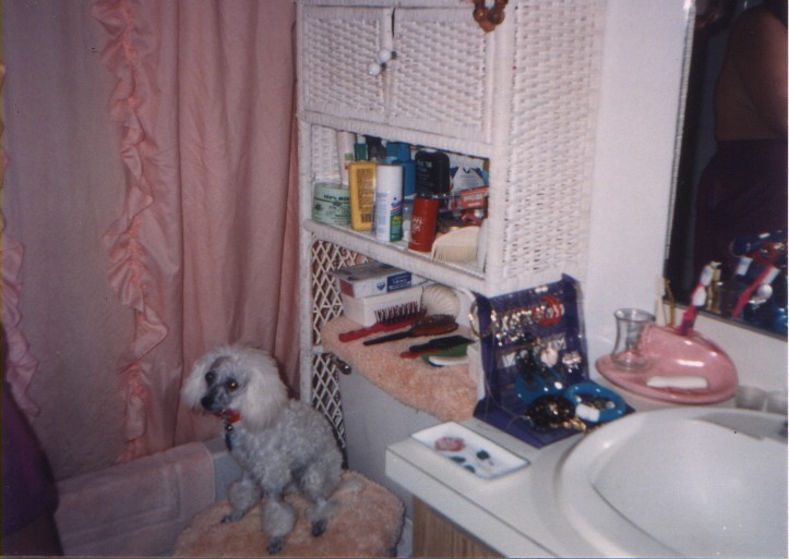 Image of chrystal_getting_fancy.jpg